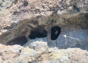 Earliest evidence of cereal harvesting by ancient Canarians discovered in Gran Canaria