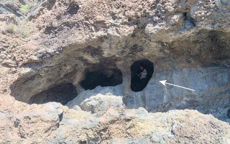 Earliest evidence of cereal harvesting by ancient Canarians discovered in Gran Canaria