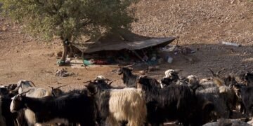 9,000-year-old evidence of dairy use discovered in Iran’s Zagros Mountains