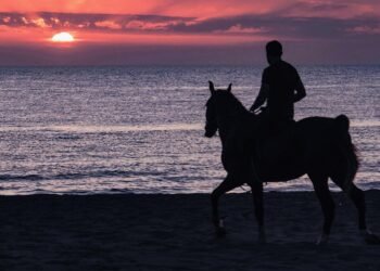 Earliest evidence of horses in Bronze Age Sicily reveals ancient rituals