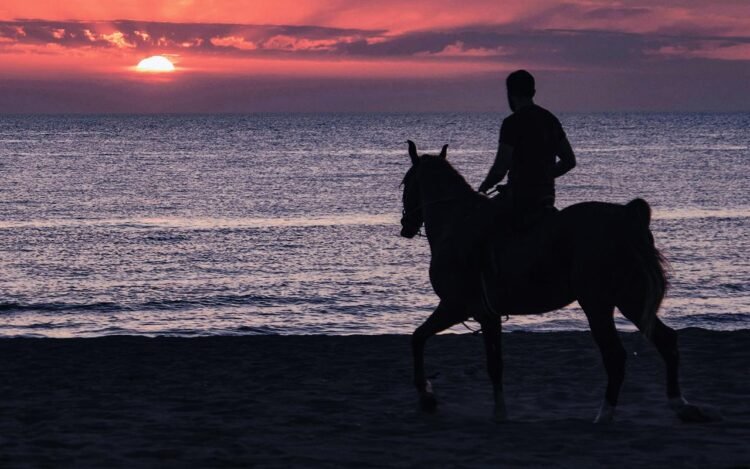 Earliest evidence of horses in Bronze Age Sicily reveals ancient rituals