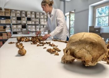 Ancient DNA study rewrites fall of Rome, reveals small migrations shaped Central Europe