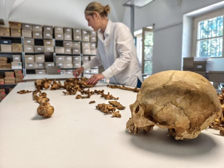 Ancient DNA study rewrites fall of Rome, reveals small migrations shaped Central Europe
