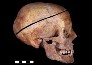 Archaeologists find first evidence of familial embalming in Europe