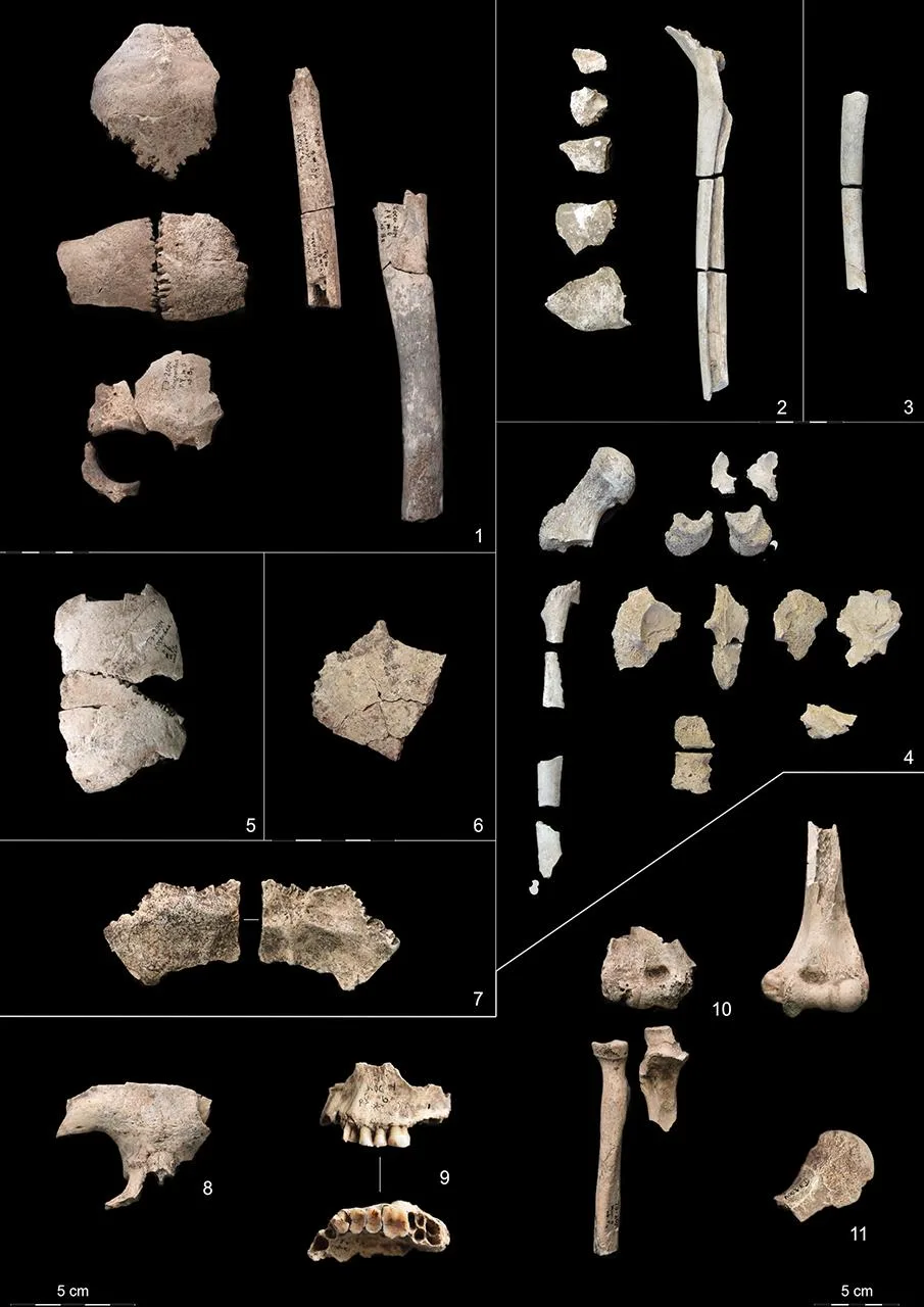 Stone Age family killed in house fire 6,000 years ago, study reveals