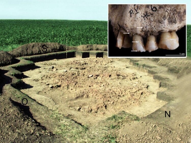 Stone Age family killed in house fire 6,000 years ago, study reveals