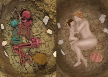 New research sheds light on family relationships in western Eurasian Bell Beaker communities