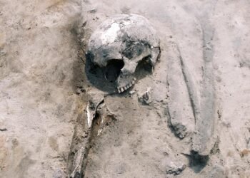 How ancient communities adapted their diets and farming strategies in prehistoric Poland