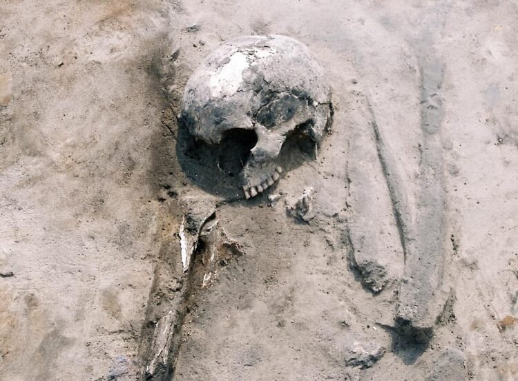 How ancient communities adapted their diets and farming strategies in prehistoric Poland