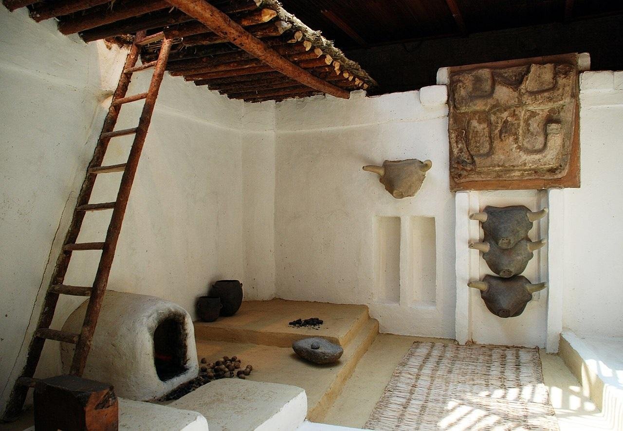 DNA reveals female-centered society in 9,000-year-old Neolithic city of Çatalhöyük