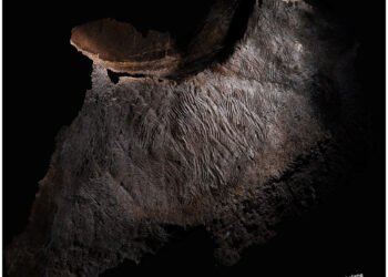 Ancient finger grooves in glittering Australian cave reveal sacred rituals of First Nations ancestors