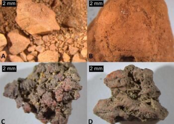 Ancient Finnish graves reveal how ochre signaled identity and social networks