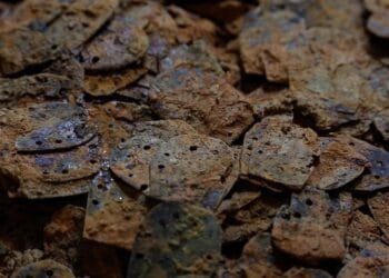 Over 6,000 pieces of fish-scale armor unearthed in Marquis of Haihun’s tomb in China