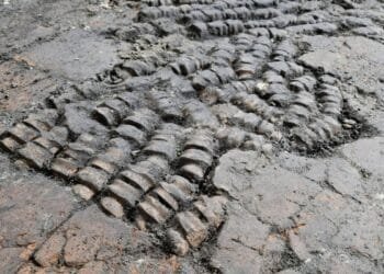 Mysterious floor made from bones found in the Netherlands