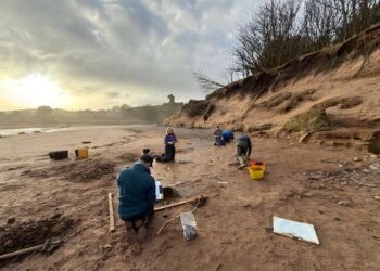 2,000-year-old human and animal footprints discovered at Lunan Bay, Scotland
