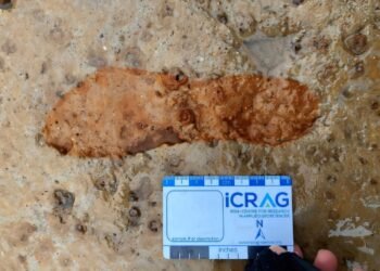 2,000-year-old human and animal footprints discovered at Lunan Bay, Scotland