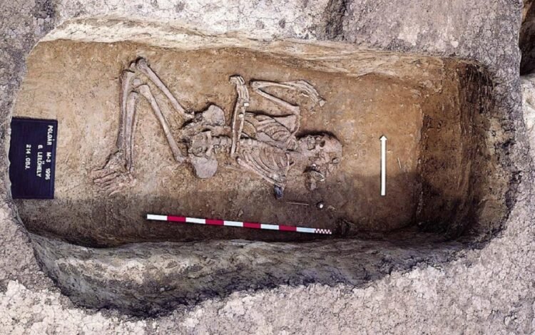 Neolithic study finds gender roles in Europe were distinct yet remarkably flexible