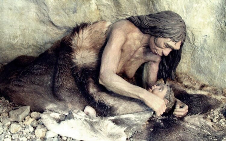 Genetic incompatibility between Homo sapiens and Neanderthals may have contributed to Neanderthal extinction