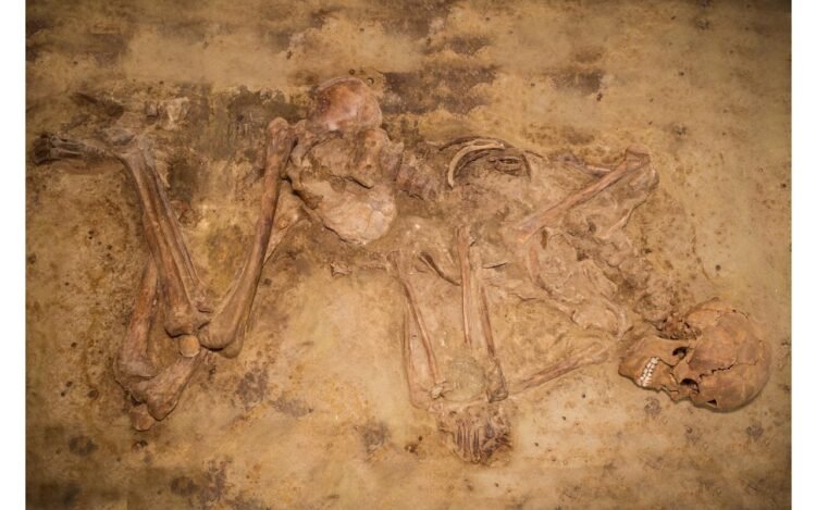 DNA study reveals 3,000 years of genetic stability in Europe’s Low Countries before Bell Beaker expansion