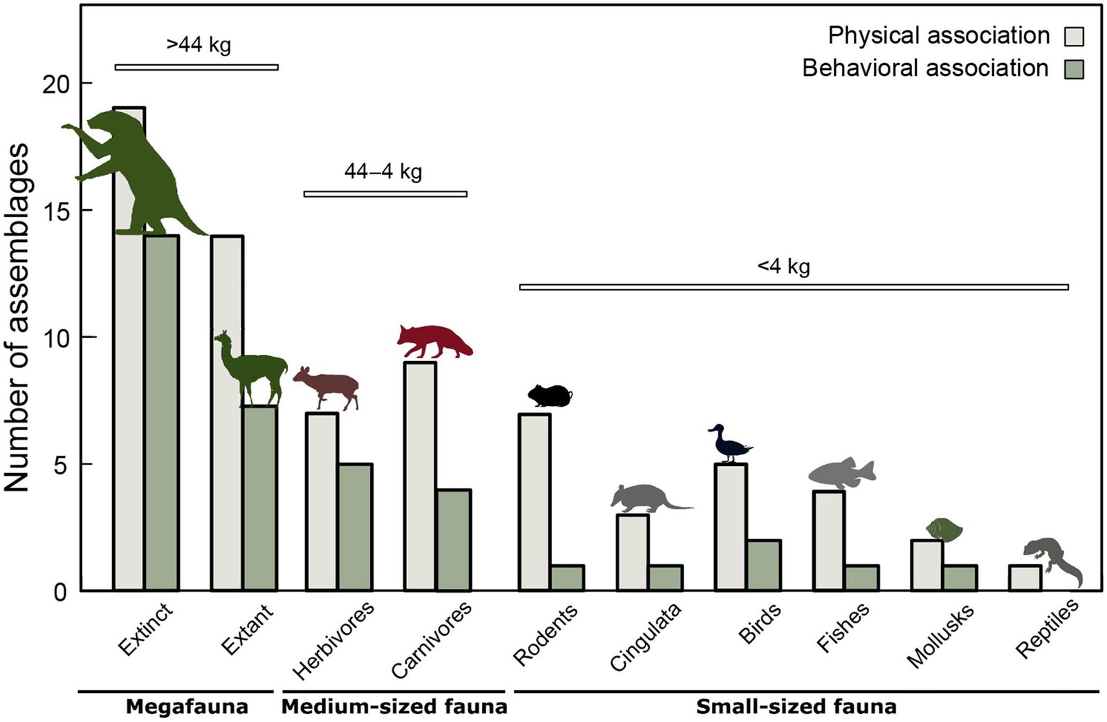 Early South American hunters primarily hunted giant megafauna, including sloths, new study reveals