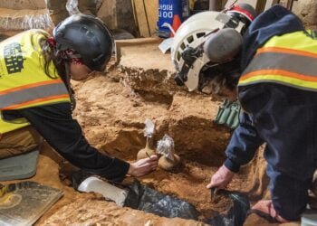 18th-century glass bottles of cherries found at Washington’s Mount Vernon