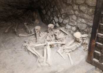 Ancient "glass brain" mystery: how Mount Vesuvius turned a man’s brain to glass