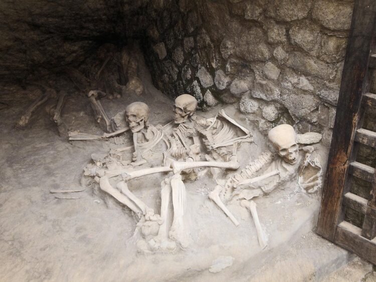 Ancient "glass brain" mystery: how Mount Vesuvius turned a man’s brain to glass