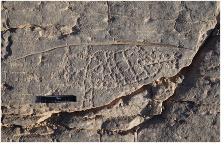 Discovery of goat-fish petroglyph unveils Egyptian understanding of ...