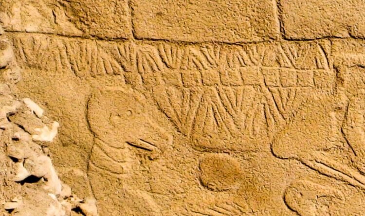 Ancient carvings at Göbekli Tepe may represent world's oldest calendar