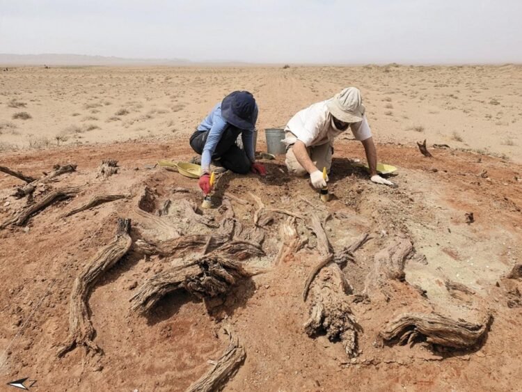 Secrets of the mysterious Gobi wall revealed: archaeologists uncover imperial purpose behind 200-mile structure