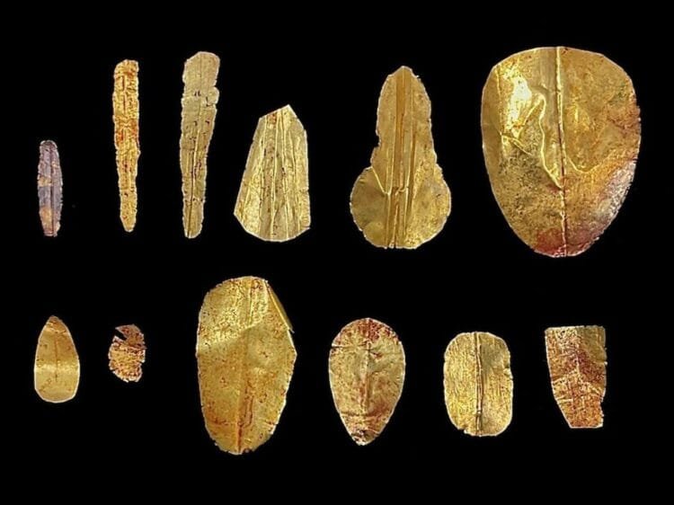 Discovery of golden tongues on mummies from the Ptolemaic Period in Al-Bahnasa, Egypt