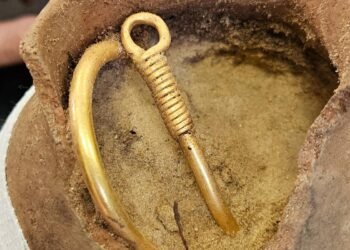 Gothic gold necklace and Roman-era treasures unearthed in Poland’s Grodziec Forest