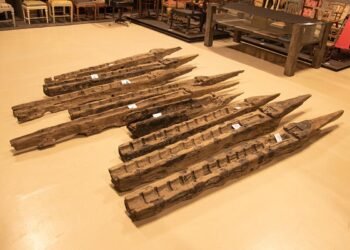 Gribshunden’s preserved artillery offers clues to early European colonization and naval power