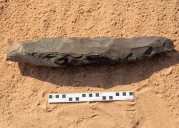 Giant 200,000-year-old hand axe discovered in Saudi Arabia
