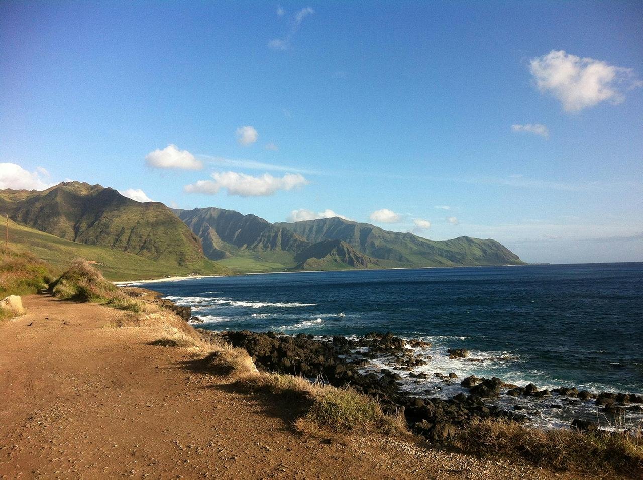 Ancient Hawaiian petroglyphs reemerge on Oahu’s shores after years of being hidden