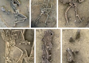 Headless skeletons found at a 7,000-year-old settlement in Slovakia puzzle archaeologists