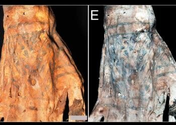 Lasers reveal hidden tattoos on 1,200-year-old Peruvian mummies