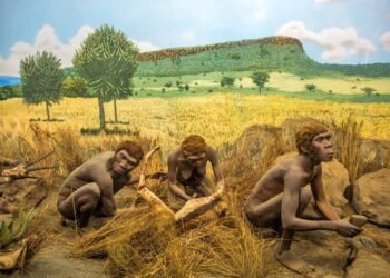 Early hominids first arrived in Europe 1.3 million years ago