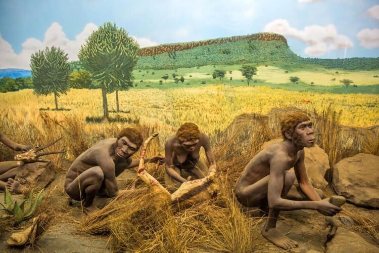 Early hominids first arrived in Europe 1.3 million years ago