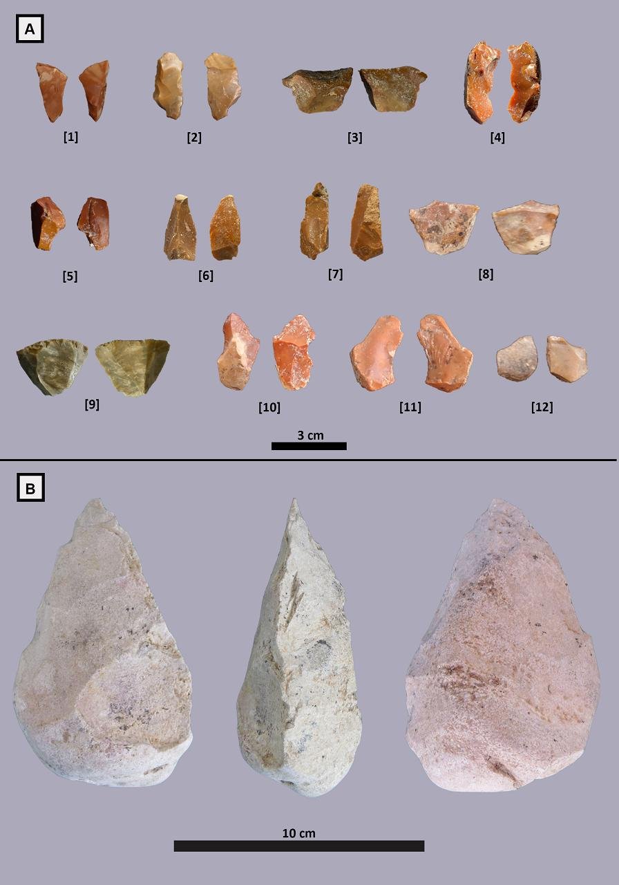 Ancient hominins in Italy butchered elephants 400,000 years ago and turned their bones into tools