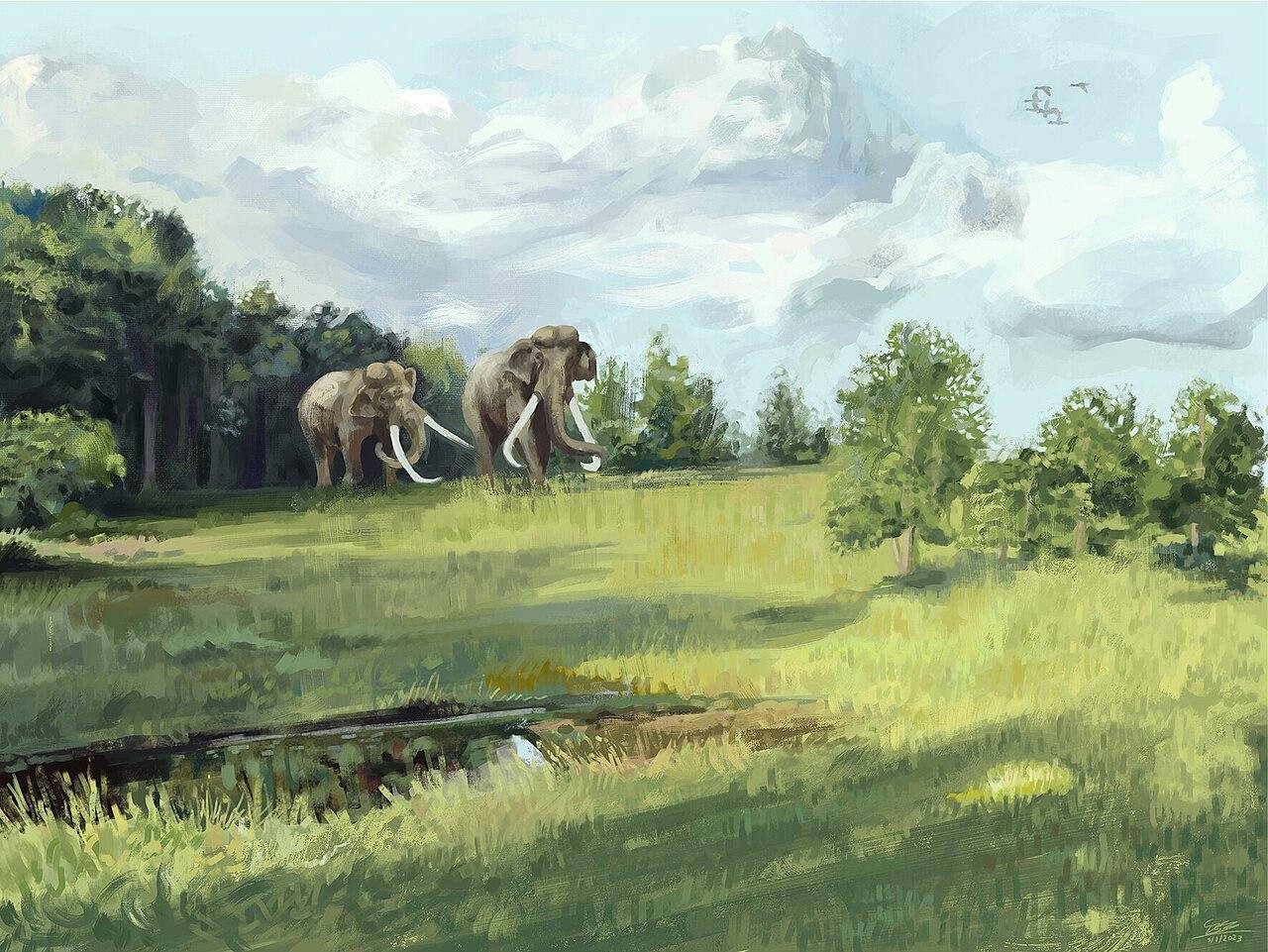 Ancient hominins in Italy butchered elephants 400,000 years ago and turned their bones into tools
