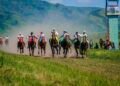 Horse domestication began centuries earlier than thought, study reveals early riding and management in 4th millennium BCE