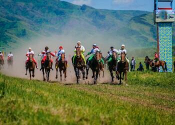 Horse domestication began centuries earlier than thought, study reveals early riding and management in 4th millennium BCE