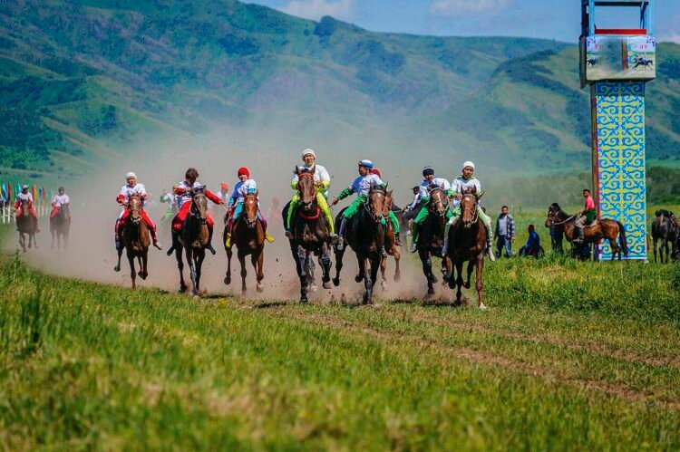 Horse domestication began centuries earlier than thought, study reveals early riding and management in 4th millennium BCE