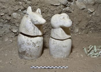 ‘House of life’ filled with educational artifacts discovered at the Ramesseum in Luxor