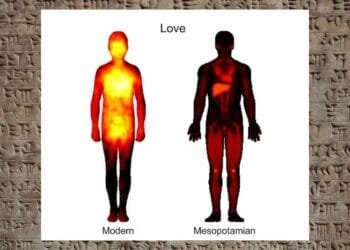 Ancient Mesopotamians felt love in their liver and anger in their feet, Akkadian texts reveal