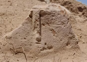 Human-faced stone idol and vast cremation cemetery unearthed at ancient Urartian city of Argištiḫinili in Armenia