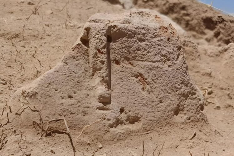 Human-faced stone idol and vast cremation cemetery unearthed at ancient Urartian city of Argištiḫinili in Armenia
