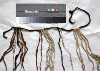 Human hair khipus reveal Inca record-keeping was used by both elites and commoners