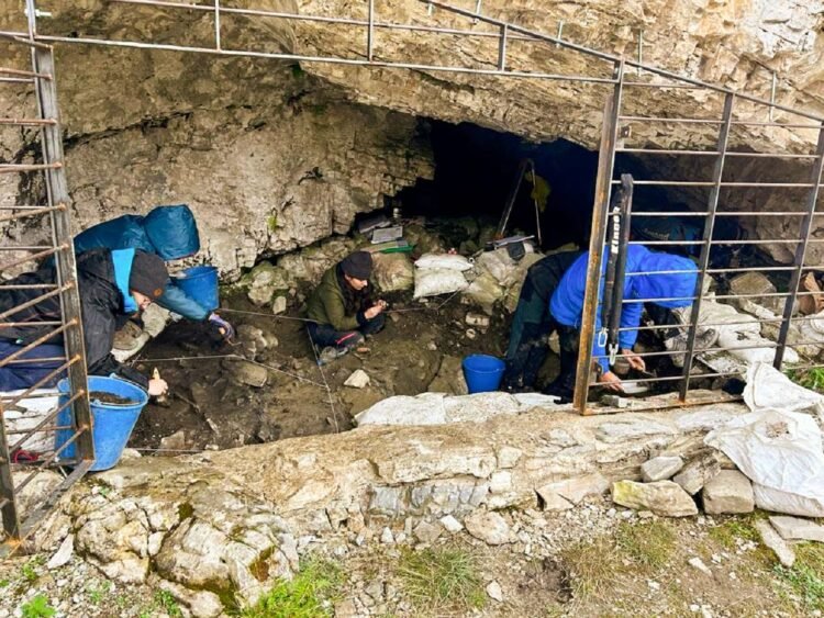 6,000 years of human occupation found in highest prehistoric cave in Spain’s Pyrenees